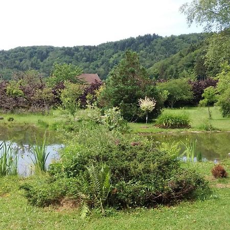 Pied Des Milles Etang - Les Capucins Panzió Faucogney-et-la-Mer Kültér fotó