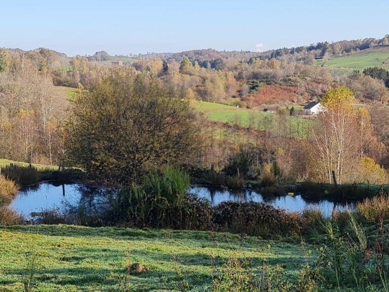 Pied Des Milles Etang - Les Capucins Panzió Faucogney-et-la-Mer Kültér fotó