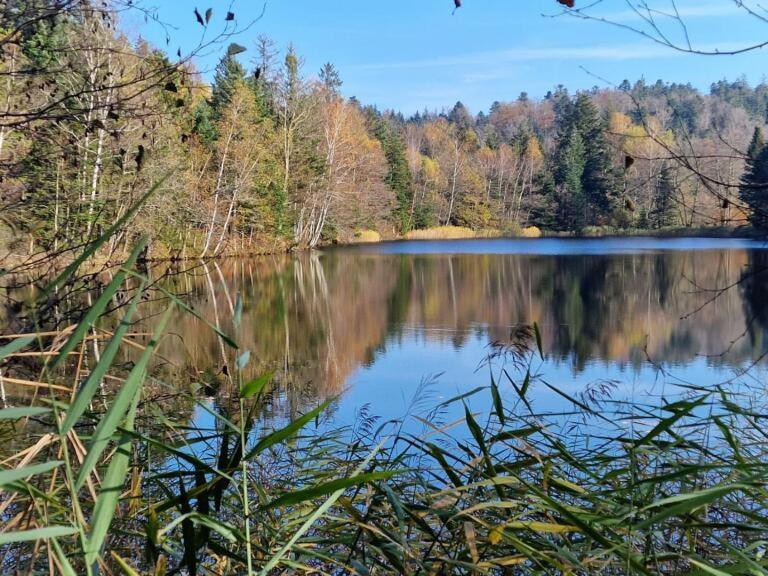 Pied Des Milles Etang - Les Capucins Panzió Faucogney-et-la-Mer Kültér fotó