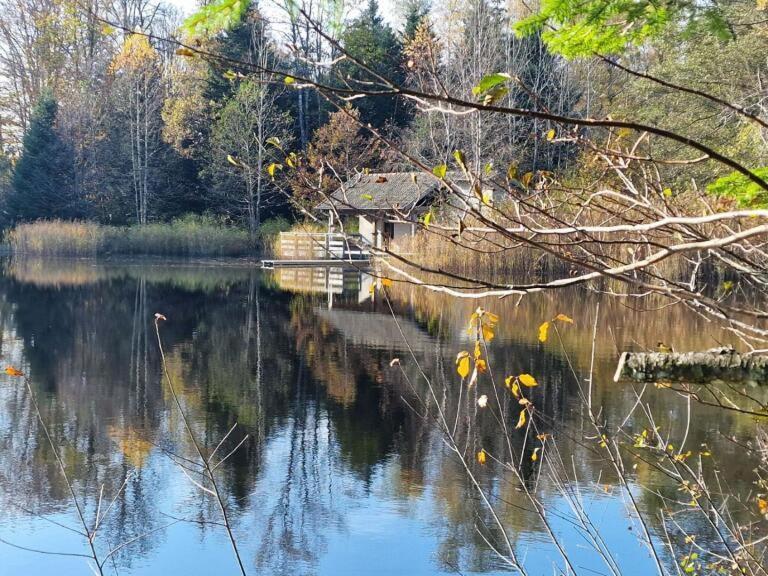 Pied Des Milles Etang - Les Capucins Panzió Faucogney-et-la-Mer Kültér fotó