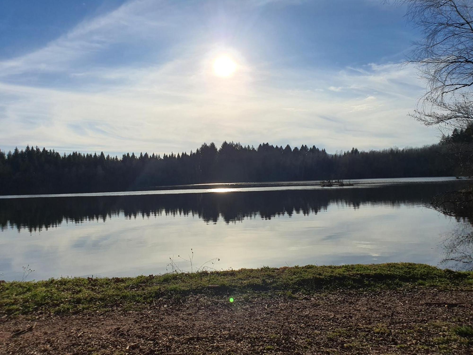 Pied Des Milles Etang - Les Capucins Panzió Faucogney-et-la-Mer Kültér fotó